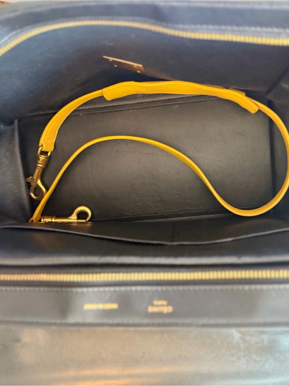 Celine trapeze color